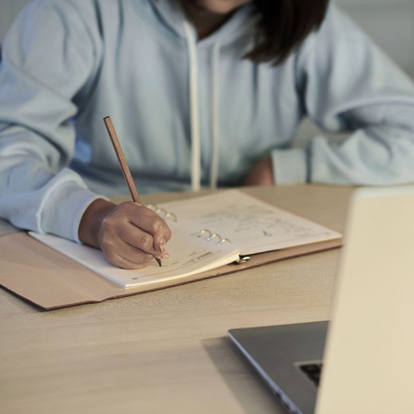 College Essay Writing